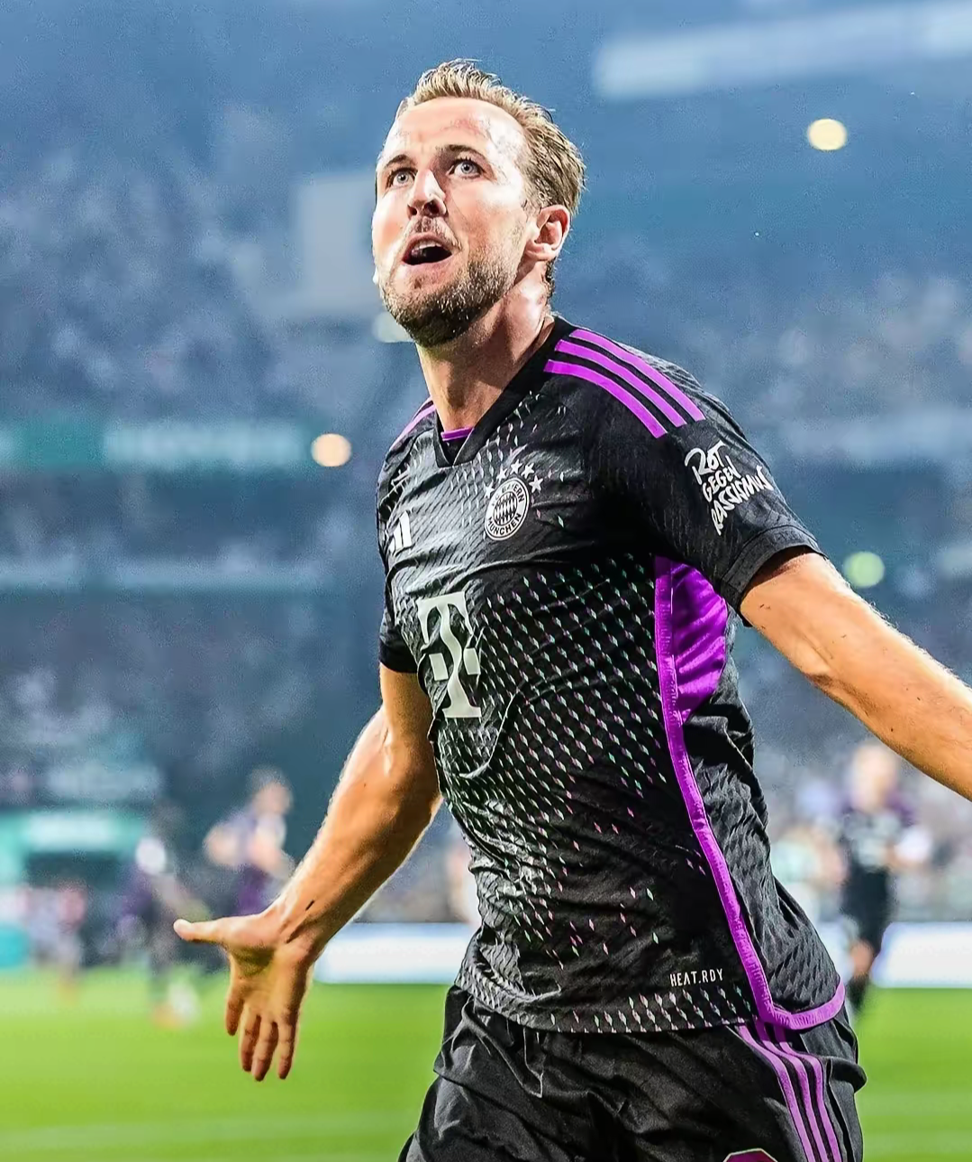 凯恩重返赛场，重要助攻首场状态出色，篮网观众沸腾！的简单介绍